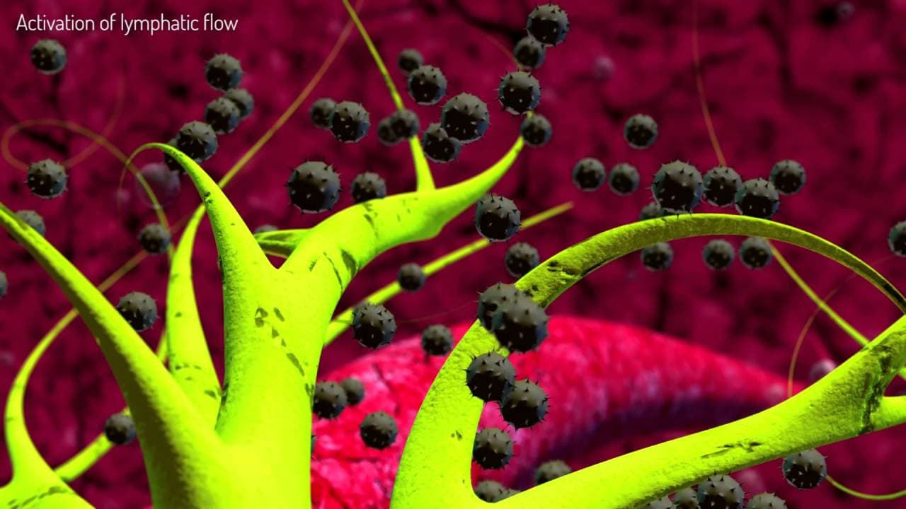 The science behind Andullation technology